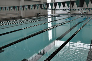 The school has encountered many problems with the pool, but they are all on the way to being fixed.