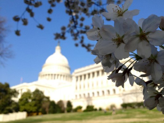 "The Capital"