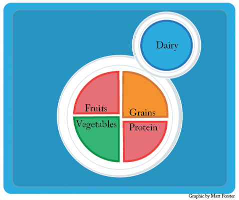 These are the five main food groups needed to maintain a healthy diet, according to the Department of Agricultures website. For more read on at  http://kidshealth.org/teen/food_fitness/
dieting/myplate.html#