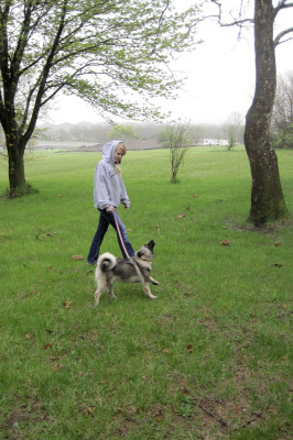 Animal lover shares her story