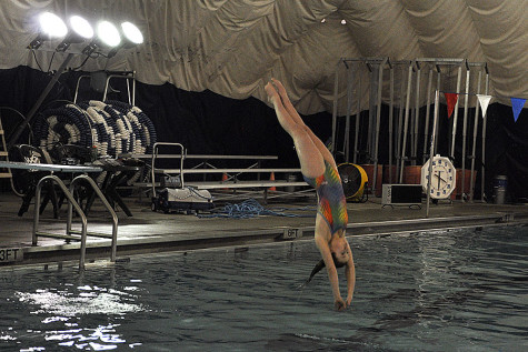 Junior diver Becca Gregory dives at Roeland Park Aquatics Center on Sunday, February 8th to practice for the upcoming season.