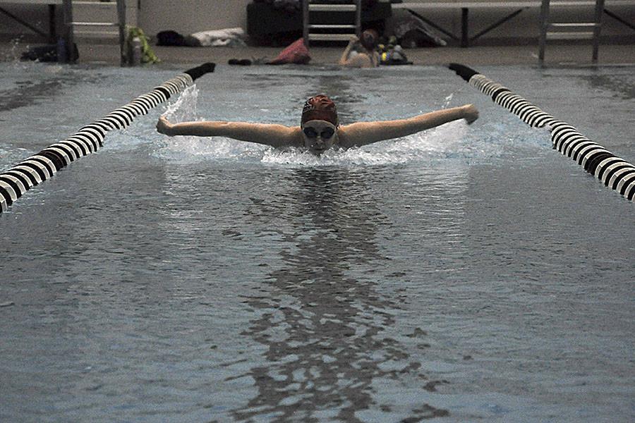 Junior swimmer Gabbi Miller swims the butterfly stroke in the Southwest pool on Monday, February 9th for her club team, Tsunami.