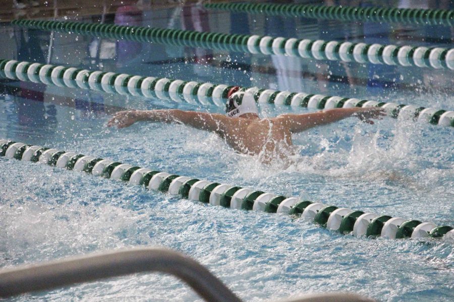 A southwest swimmer pushes the water back as he races to the end of the pool.