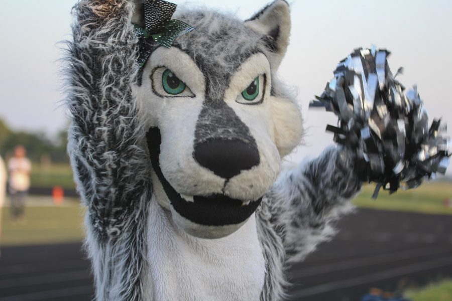 School mascot Tina the Timberwolf cheers for her fellow timberwolves at the green and white scrimmage on Aug. 24.