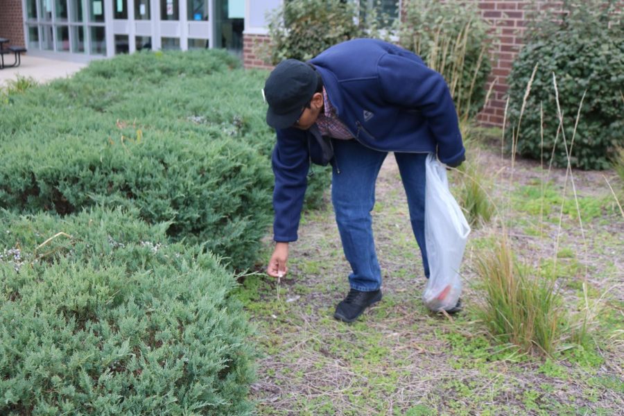 Trays of Change: Environmental Club implements use of compostable trays