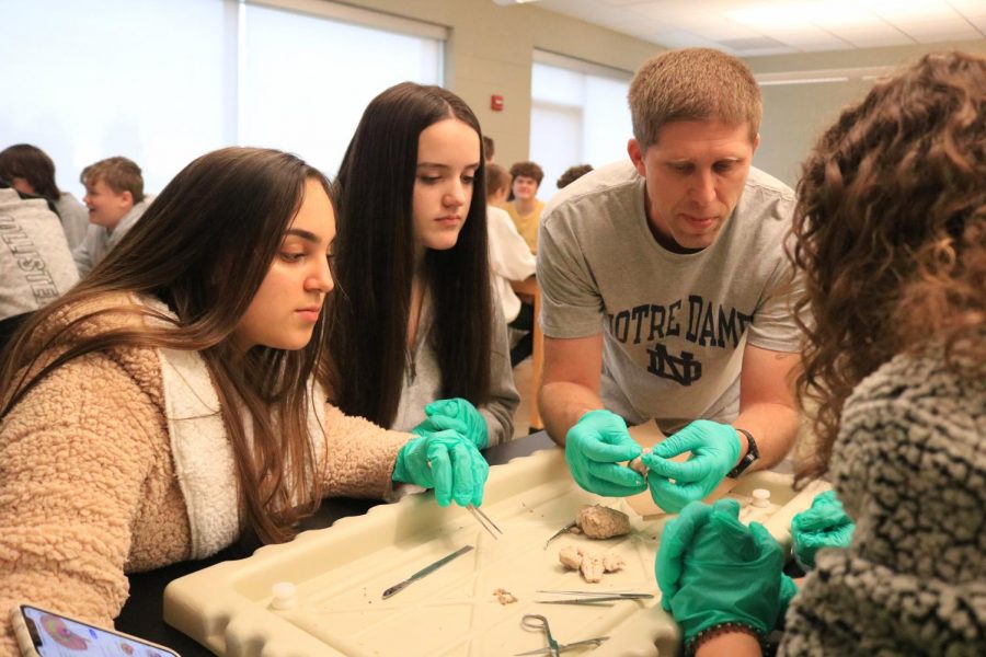 Anatomy and Physiology teacher Dr. Chris Jenson explains parts of the sheep brain to his students.