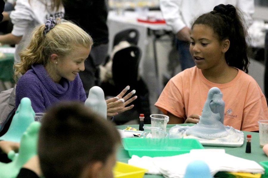 GALLERY: Science fair hosted by NHS for 4th-6th grade students on Nov. 19