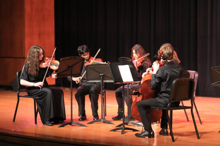 GALLERY: Orchestra performance