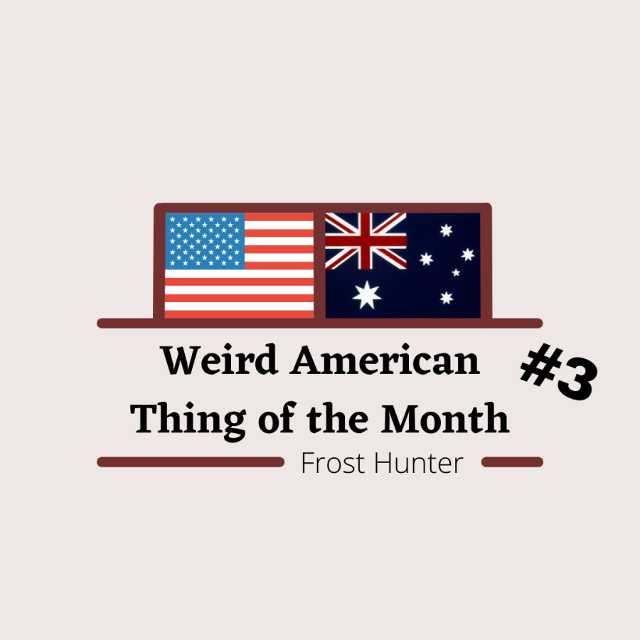 Weird American Thing of the Month #3 – ‘America Sized’
