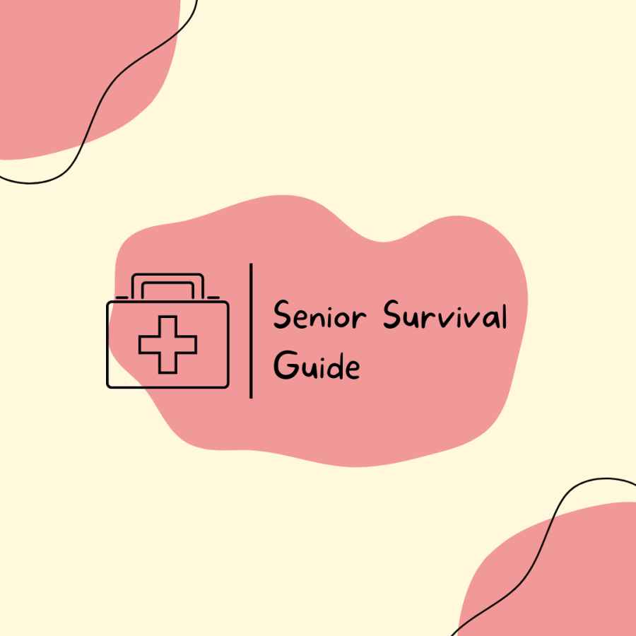 Senior Survival Guide