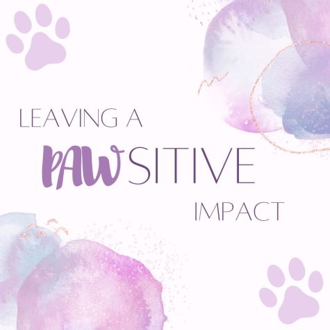 Leaving A Pawsitive Impact