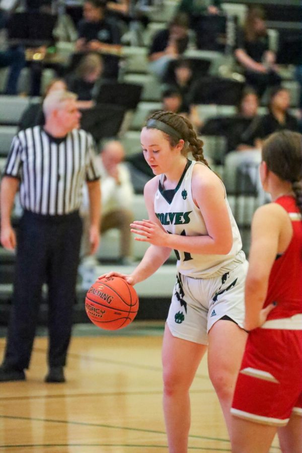 Sophomore Lindsay Dill
