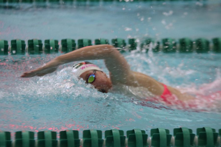 During her race, Senior Lauren Weiss swims the freestyle race. 