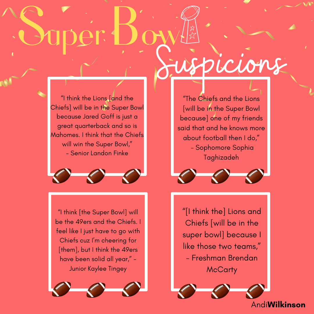 Super Bowl Suspicions