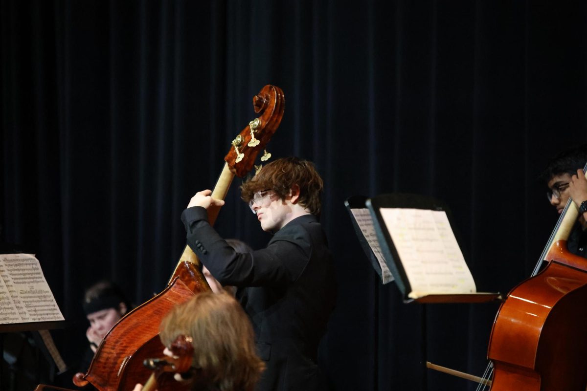 Musician chosen for prestigious bass competition