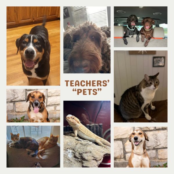 Staff members share fun facts about their pets