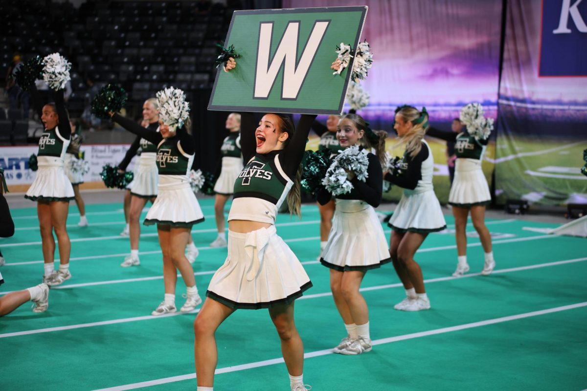GALLERY: Cheer State on Nov. 22