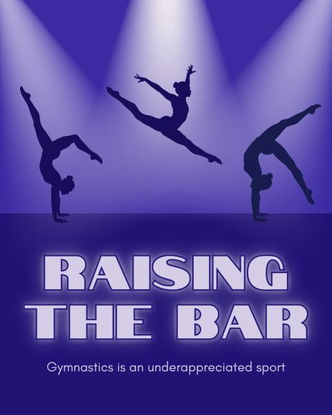 Gymnastics is an underappreciated sport