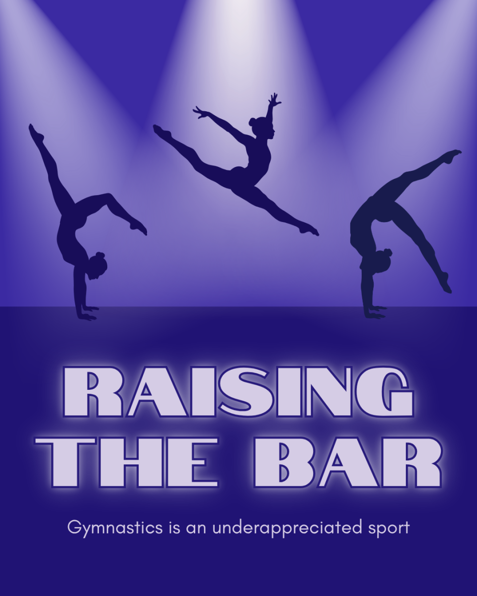 Gymnastics is an underappreciated sport